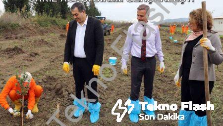 Dalaman Açık Cezaevi’nde Tarımsal Hamle: Sakız Ağacı Dikimi Gerçekleşti