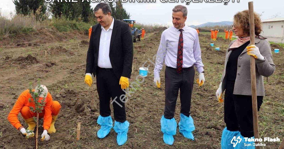 "Dalaman Açık Cezaevi'nde Tarımsal Hamle: Sakız Ağacı Dikimi Gerçekleşti" başlıklı haber için fotore