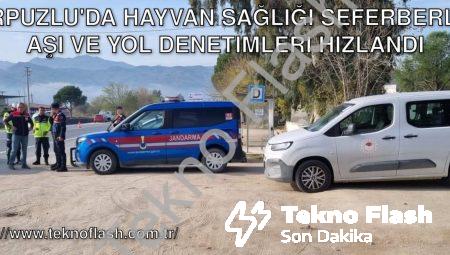 Karpuzlu’da Hayvan Sağlığı Seferberliği: Aşı ve Yol Denetimleri Hızlandı