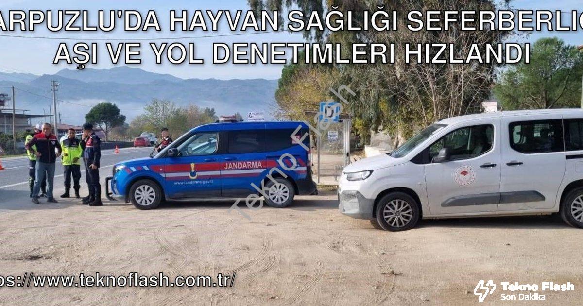 "Karpuzlu'da Hayvan Sağlığı Seferberliği: Aşı ve Yol Denetimleri Hızlandı" başlıklı haber için fotor