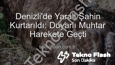 Denizli’de Yaralı Şahin Kurtarıldı: Duyarlı Muhtar Harekete Geçti