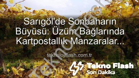 Sarıgöl’de Sonbaharın Büyüsü: Üzüm Bağlarında Kartpostallık Manzaralar Eşliğinde Budama Zamanı ve Yevmiye Açıklaması