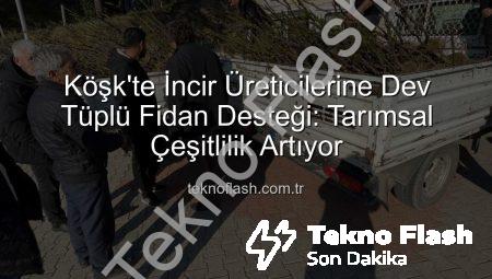 Köşk’te İncir Üreticilerine Dev Tüplü Fidan Desteği: Tarımsal Çeşitlilik Artıyor
