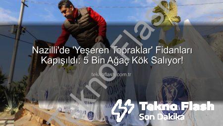 Nazilli’de ‘Yeşeren Topraklar’ Fidanları Kapışıldı: 5 Bin Ağaç Kök Salıyor!