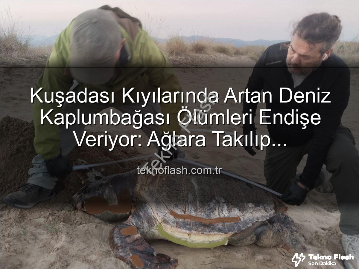 deniz kaplumbağası ölümleri - Kuşadası Kıyılarında Artan Deniz Kaplumbağası Ölümleri Endişe Veriyor: Ağlara Takılıp Boğuluyorlar mı?