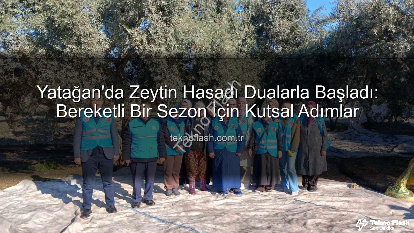 Yatağan zeytin hasadı - Yatağan'da Zeytin Hasadı Dualarla Başladı: Bereketli Bir Sezon İçin Kutsal Adımlar