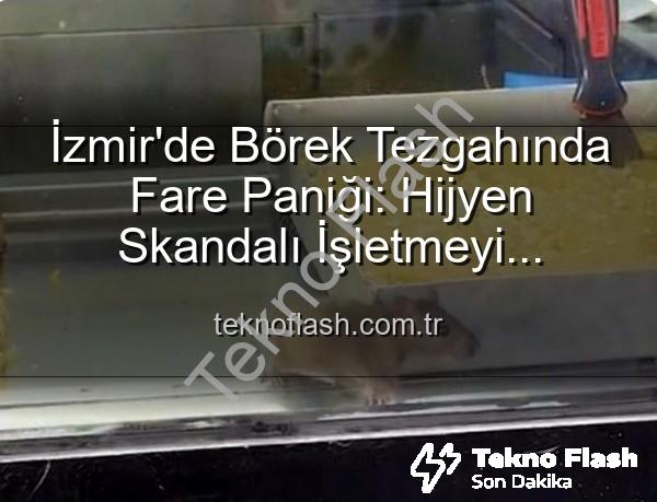 börek tezgahında fare - İzmir'de Börek Tezgahında Fare Paniği: Hijyen Skandalı İşletmeyi Mühürletti!
