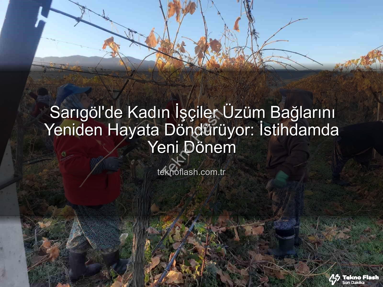 kadın istihdamı - Sarıgöl'de Kadın İşçiler Üzüm Bağlarını Yeniden Hayata Döndürüyor: İstihdamda Yeni Dönem