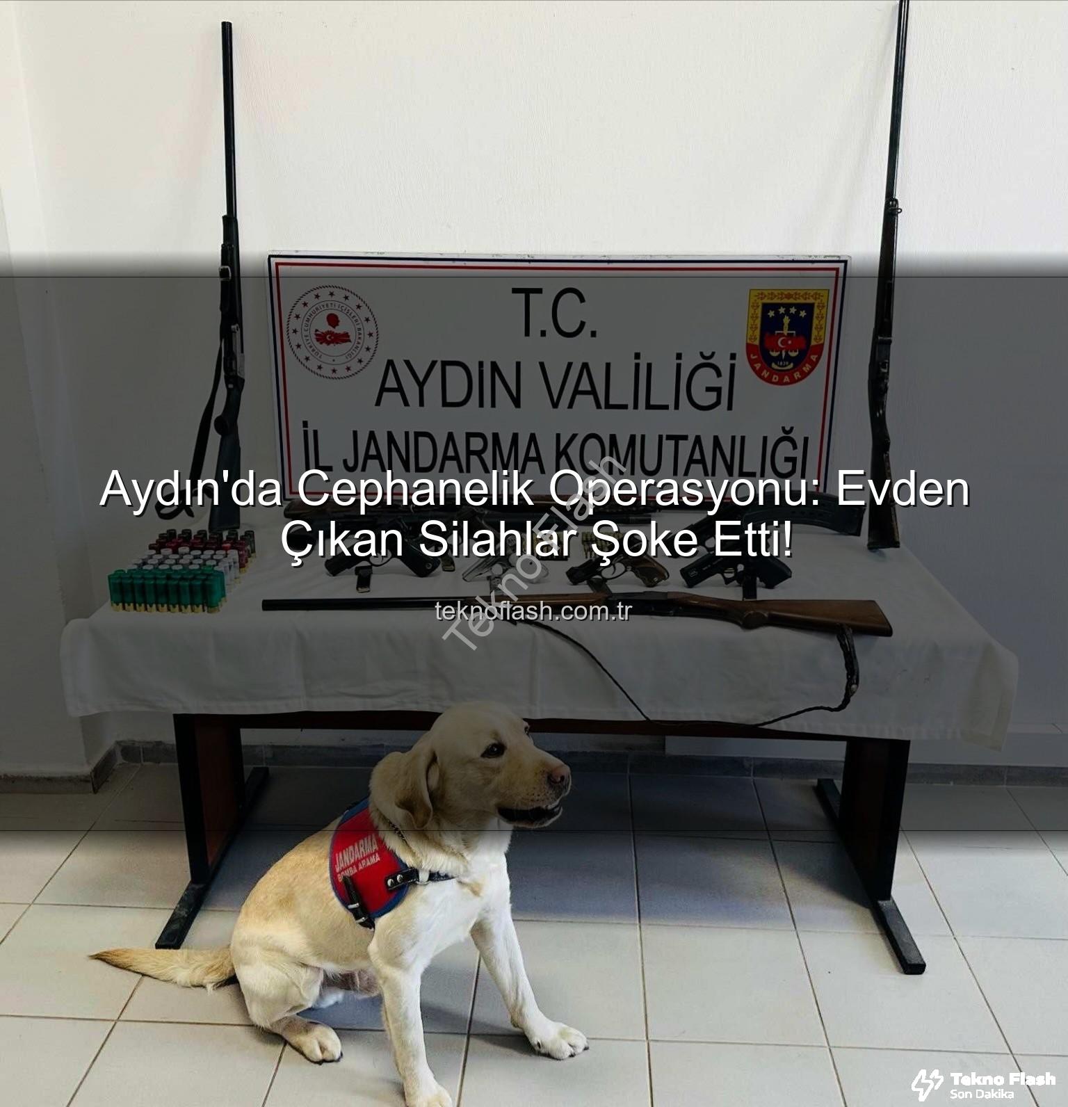 otomatik silahlar - Aydın'da Cephanelik Operasyonu: Evden Çıkan Silahlar Şoke Etti!