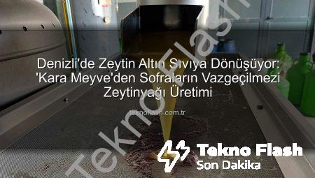 Denizli’de Zeytin Altın Sıvıya Dönüşüyor: ‘Kara Meyve’den Sofraların Vazgeçilmezi Zeytinyağı Üretimi