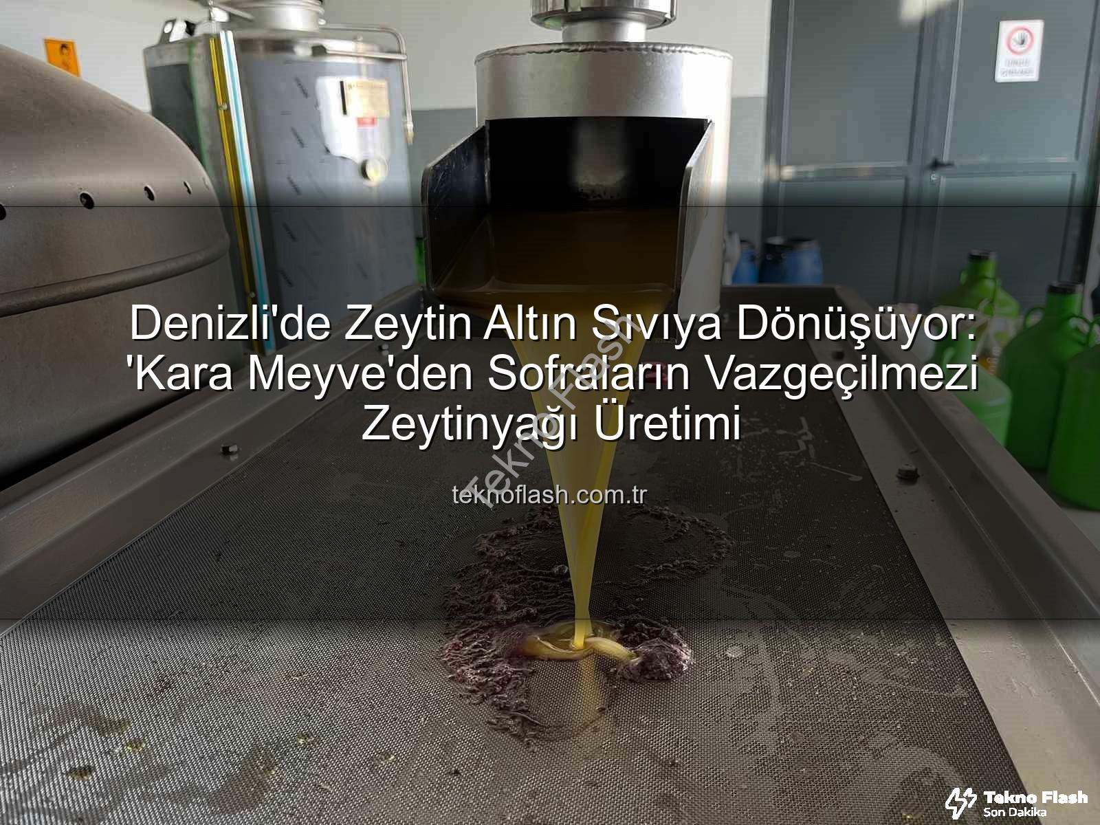 zeytinyağı üretimi - Denizli'de Zeytin Altın Sıvıya Dönüşüyor: 'Kara Meyve'den Sofraların Vazgeçilmezi Zeytinyağı Üretimi